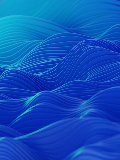 Product and checkout pages of a WavX e-commerce store